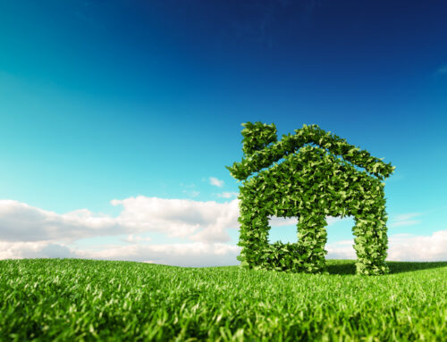 Top 6 Green Building Certifications Contractors Must Have